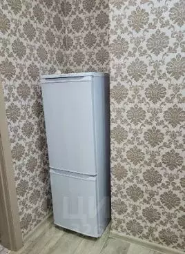 Студия Хакасия, Абакан ул. Комарова, 24Б (28.0 м) - Фото 2