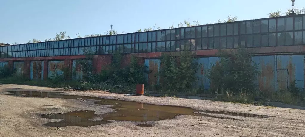 Помещение свободного назначения в Омская область, Омск просп. Мира, ... - Фото 1