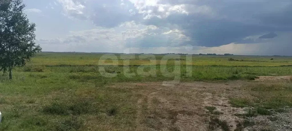 Участок в Курганская область, Курган Озеро Бездонное-2 СНТ,  (7.0 ... - Фото 1