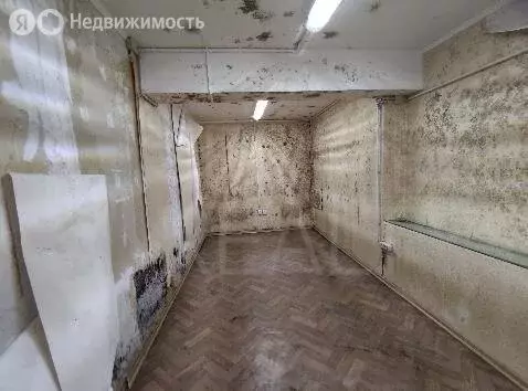 Помещение свободного назначения (322.2 м) - Фото 0