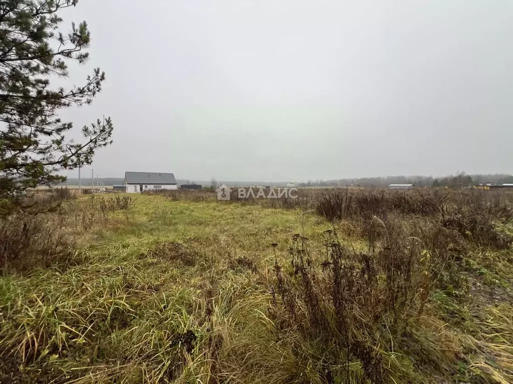 Участок в Владимирская область, Судогодский район, с. Чамерево  (15.0 ... - Фото 1