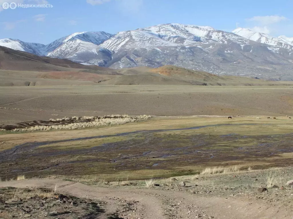 Участок в село Тобелер, улица Кожабаева (250 м) - Фото 2