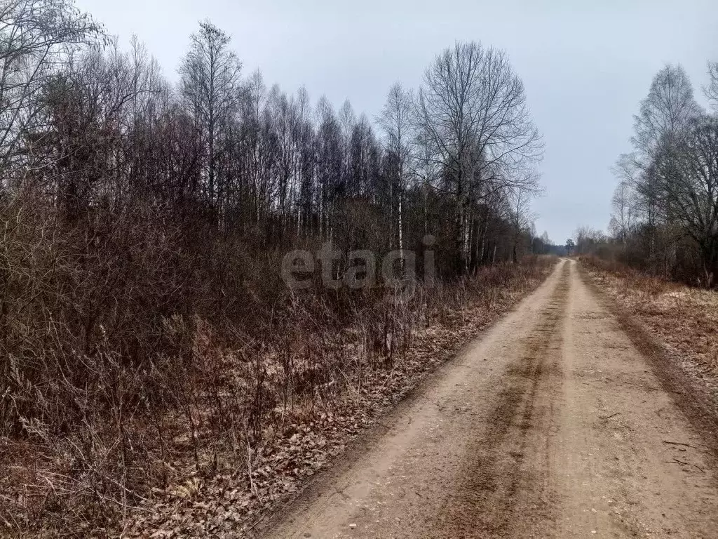 Участок в Псковская область, Куньинский район, Каськовская волость, д. ... - Фото 1