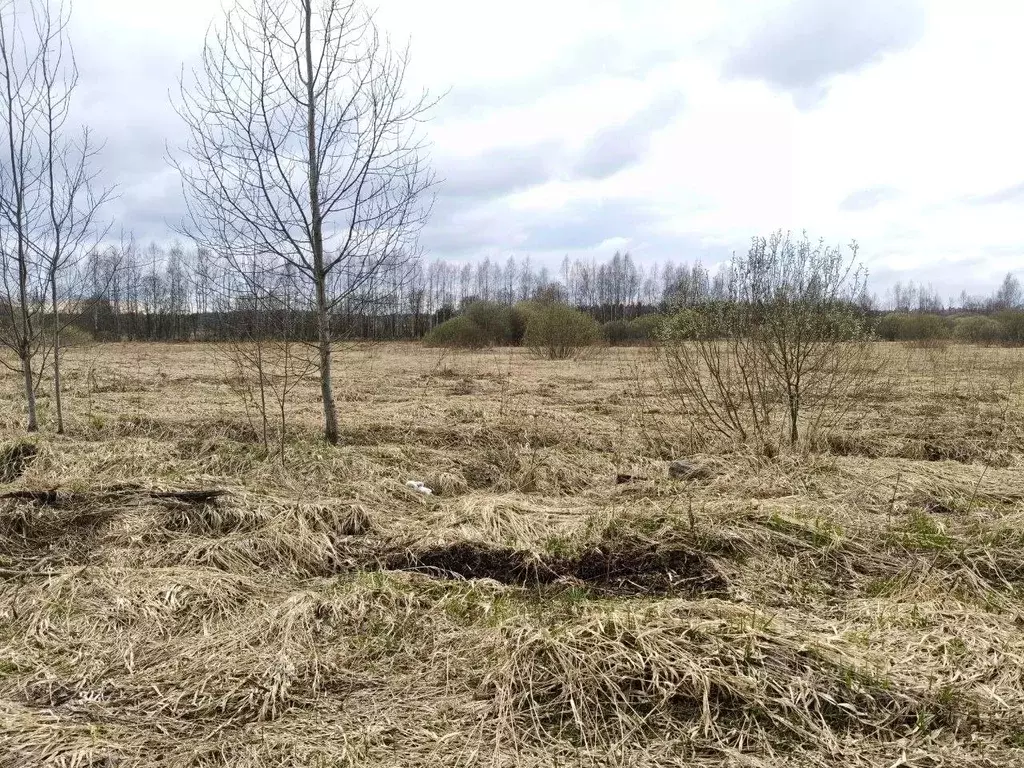 Участок в Московская область, Талдомский городской округ, д. Мякишево  ... - Фото 2