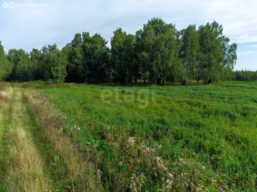 Участок в Тюменская область, Нижнетавдинский муниципальный округ, ... - Фото 2