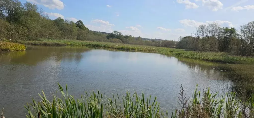 Участок в Московская область, Клин городской округ, д. Иевлево  (13.0 ... - Фото 1