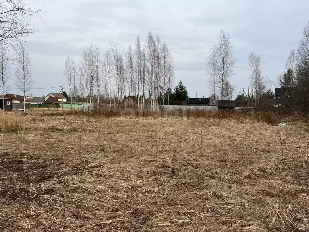 Участок в городской посёлок Будогощь, СНТ Ракитино, линия III (9.1 м) - Фото 1