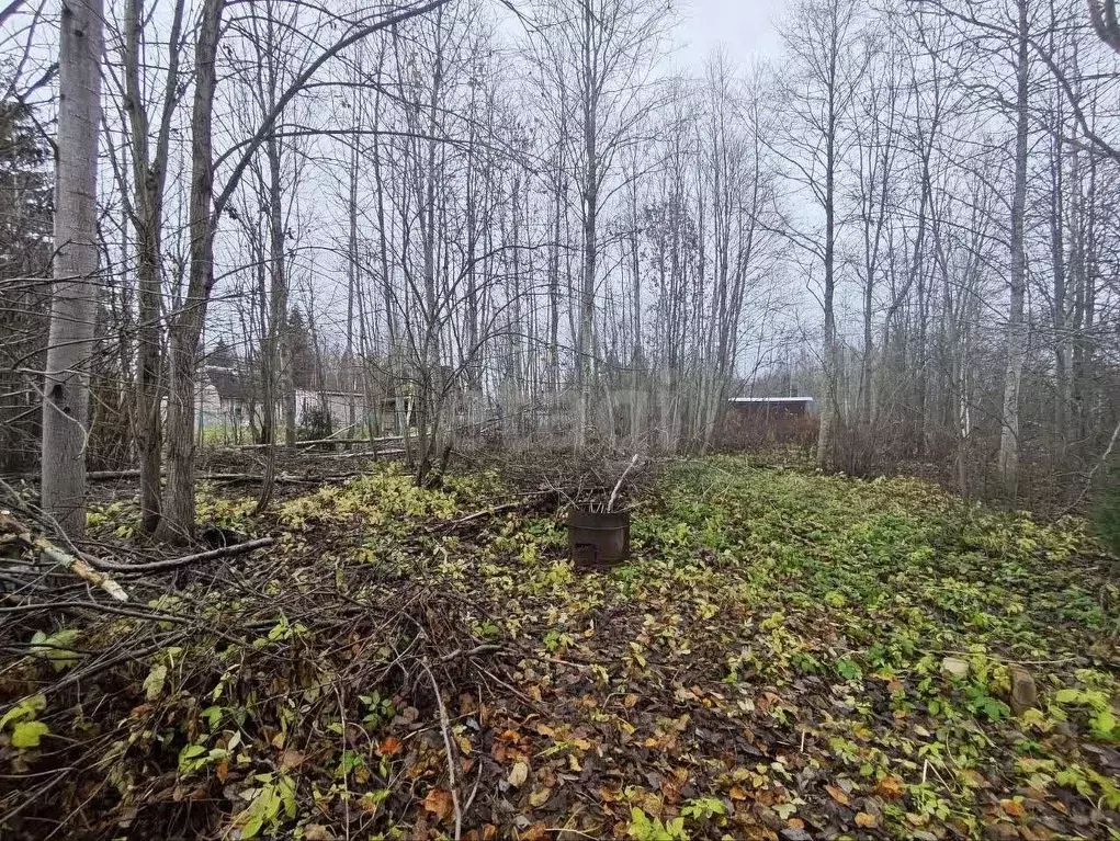 Участок в Ленинградская область, Волховский район, Кисельнинское ... - Фото 1