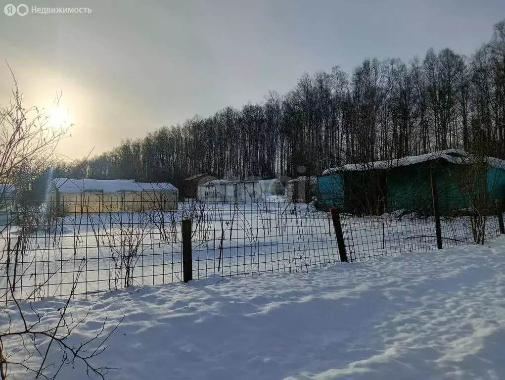 Дом в Златоуст, СНТ Коллективный сад № 17 (10 м) - Фото 1