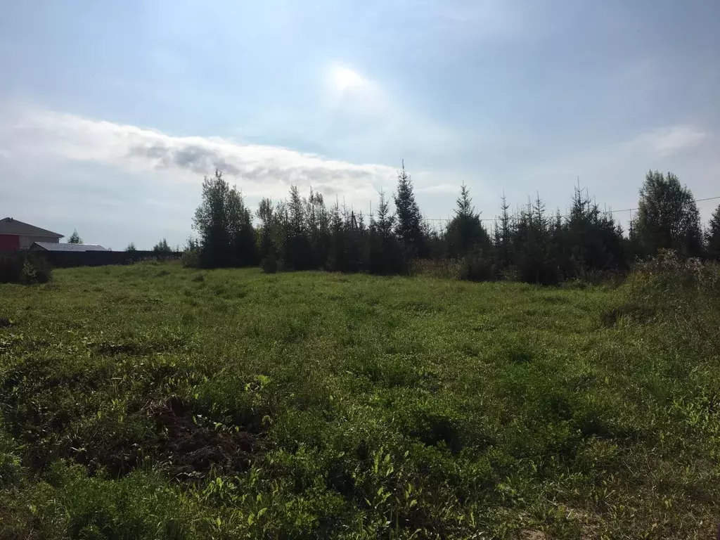 Продается участок в д. Кострово - Фото 1