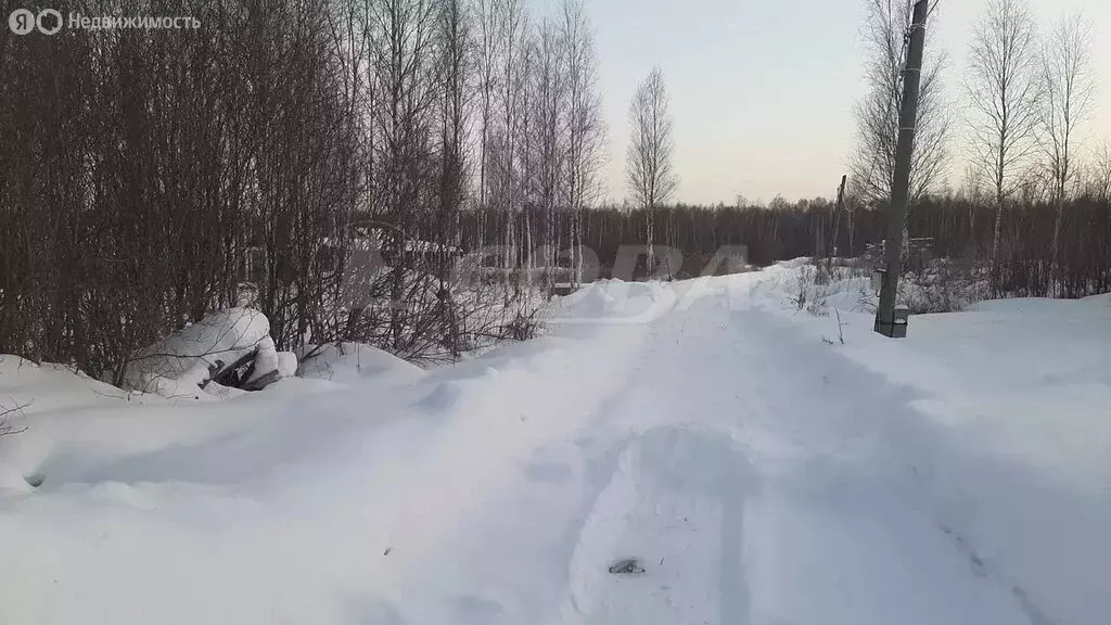 Участок в Тюмень, Центральный округ (5 м) - Фото 2