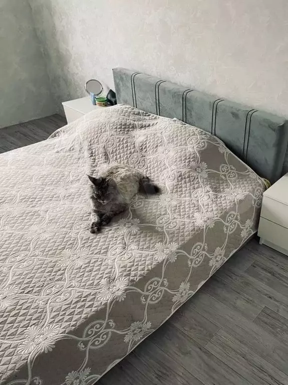 1-к. квартира, 30,6 м, 1/5 эт. - Фото 0