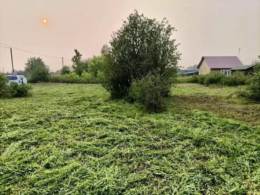 Участок в Новосибирская область, Бердск Вега-4 СНТ, ул. 2-я (10.06 ... - Фото 1