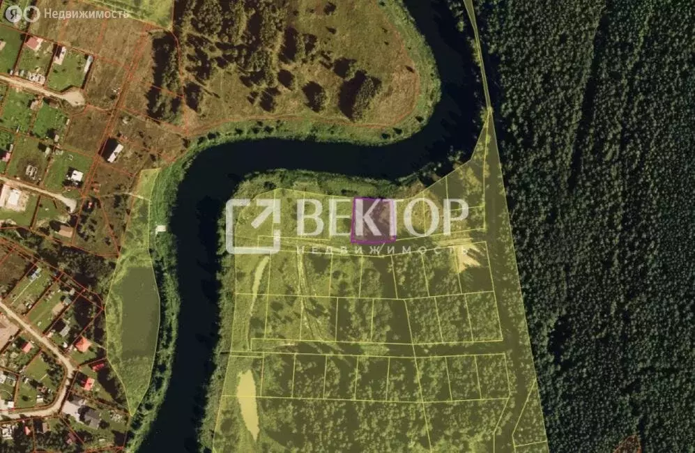 Участок в Ярославская область, Некрасовский муниципальный округ, КП ... - Фото 2