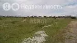 Участок в Чита, 5-я Долиновская улица (10 м) - Фото 0