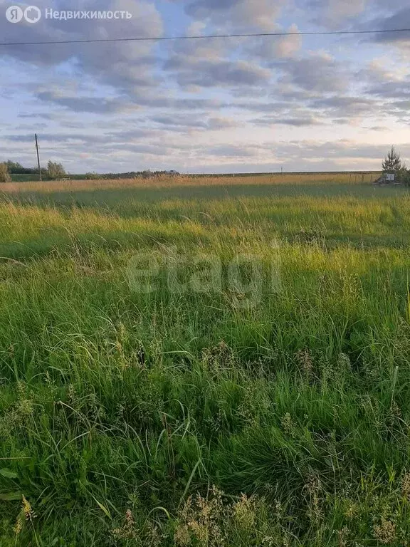 Участок в Республика Мордовия, городской округ Саранск, село ... - Фото 0
