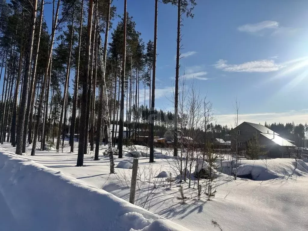 Участок в Коми, Сыктывкар городской округ, Краснозатонский пгт ул. ... - Фото 0