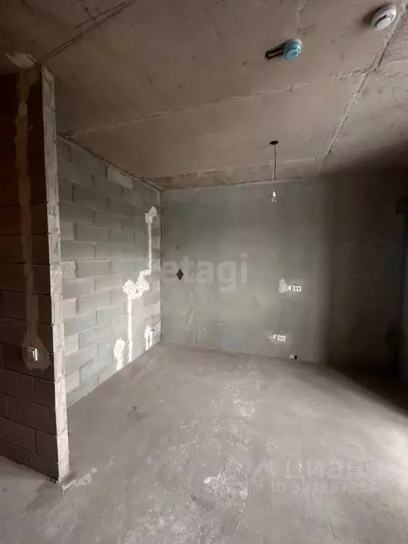 Студия Ленинградская область, Всеволожский район, Заневское городское ... - Фото 1