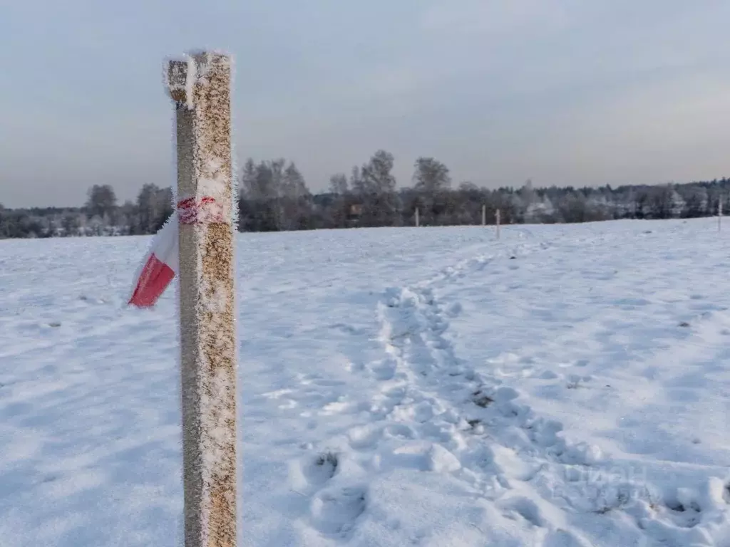 Участок в Московская область, Волоколамский городской округ, д. ... - Фото 1