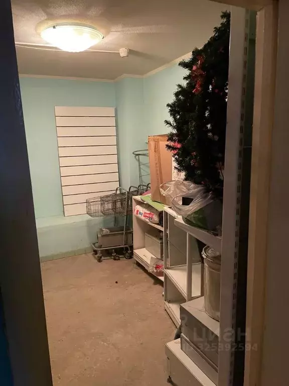 Помещение свободного назначения в Челябинская область, Челябинск ул. ... - Фото 1