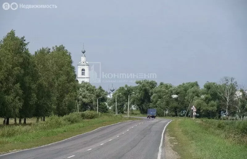 Участок в Владимирская область, Собинский муниципальный округ, село ... - Фото 0