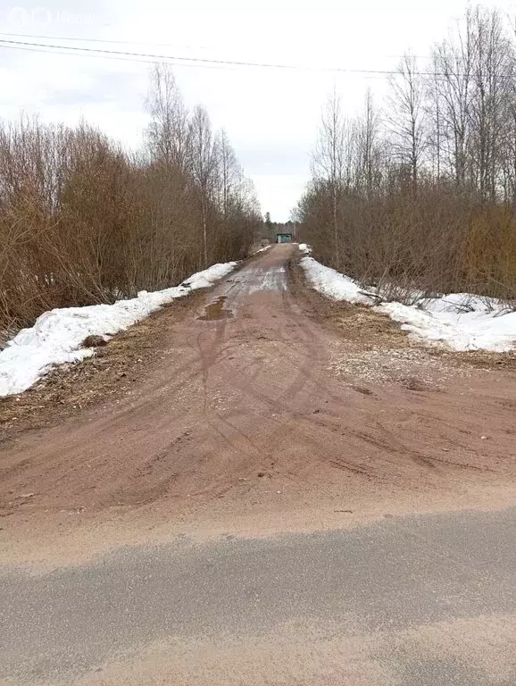 Участок в Валдайский район, Яжелбицкое сельское поселение, деревня ... - Фото 0