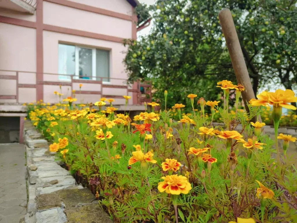 Коттедж в Московская область, Ленинский городской округ, д. Спасское ... - Фото 2