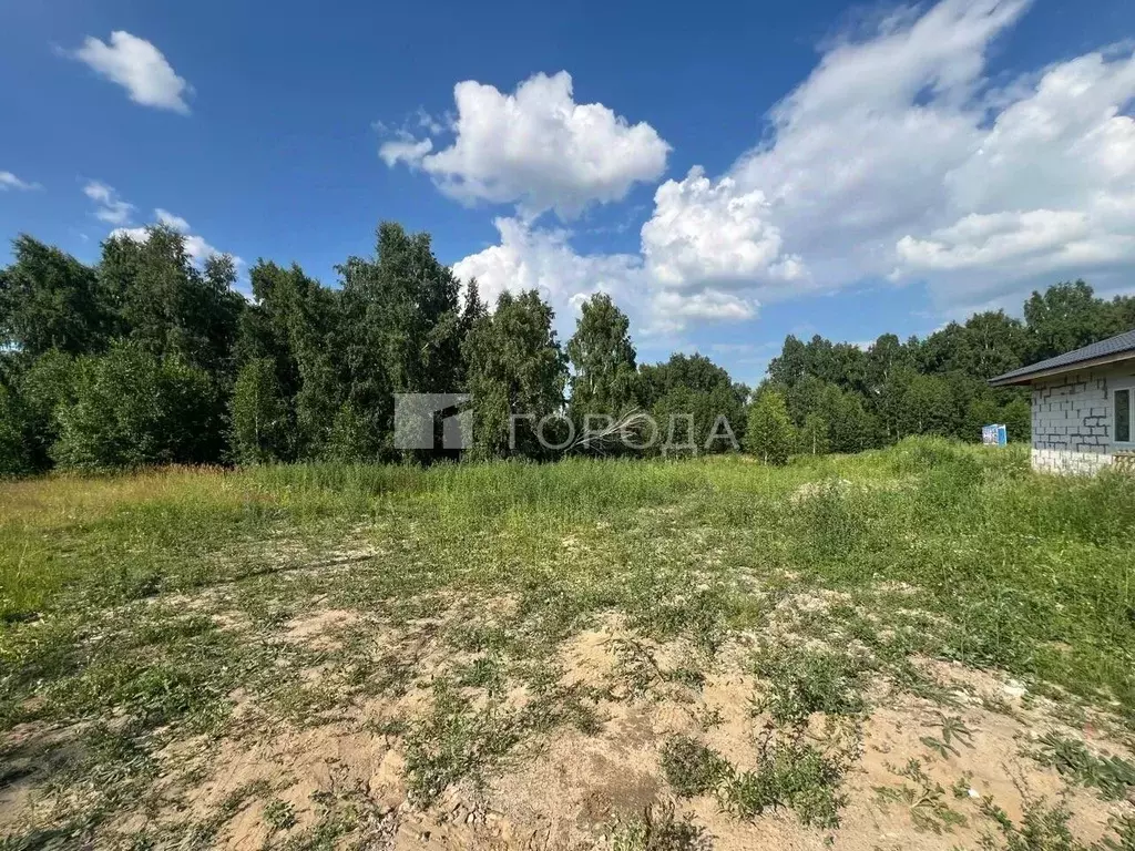 Участок в Новосибирская область, Новосибирский район, Станционный ... - Фото 1