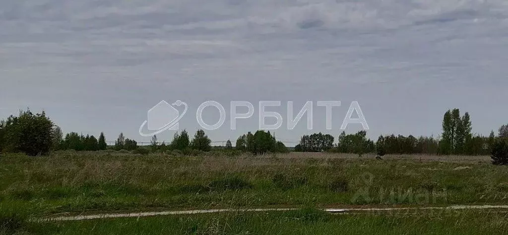 Участок в Тюменская область, Тюменский муниципальный округ, с. Борки  ... - Фото 1