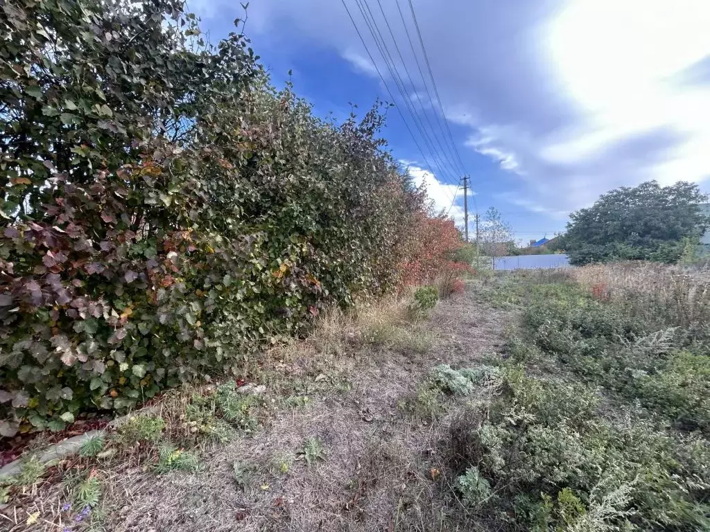 Участок в Ростовская область, Аксайский район, Большелогское с/пос, ... - Фото 2