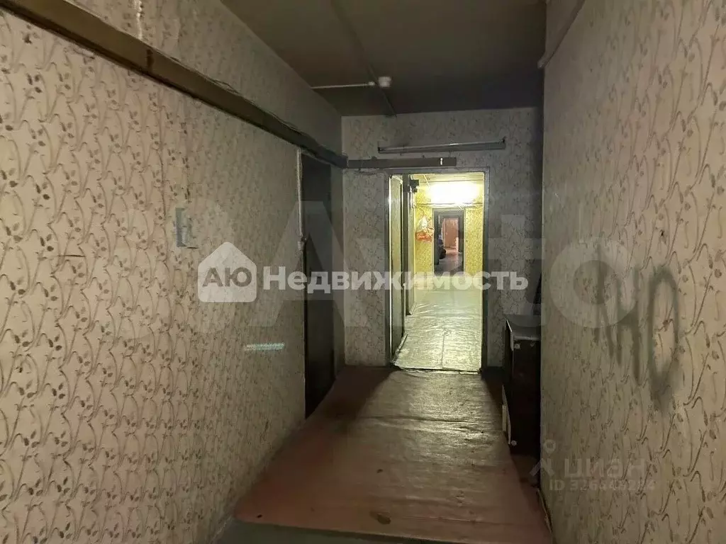 Студия Санкт-Петербург ул. Жени Егоровой, 12К2 (40.5 м) - Фото 2