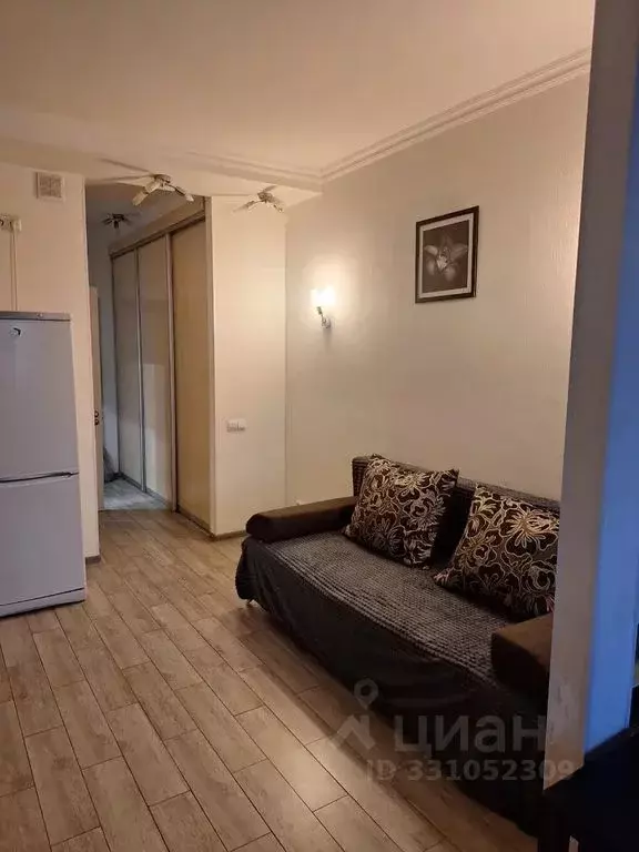 Студия Московская область, Щелково Богородский мкр, 16 (20.0 м) - Фото 2