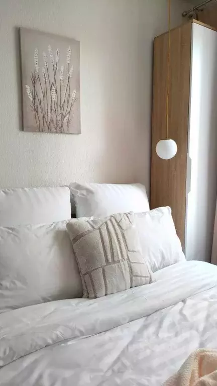 1-к кв. Московская область, Дмитров Луговая ул., 13 (16.0 м) - Фото 2