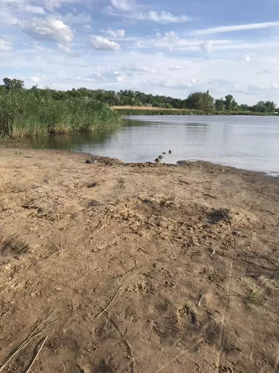 Дача 30 м на участке 4 сот. - Фото 0