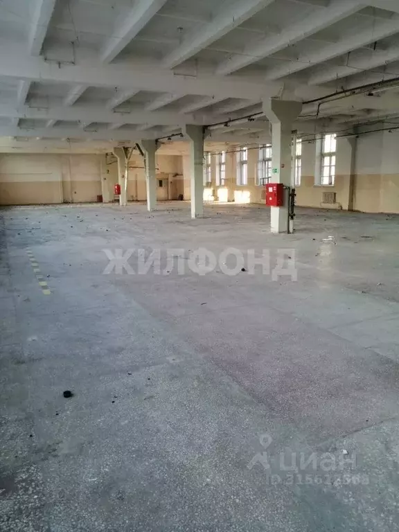 Помещение свободного назначения в Новосибирская область, Новосибирск ... - Фото 1