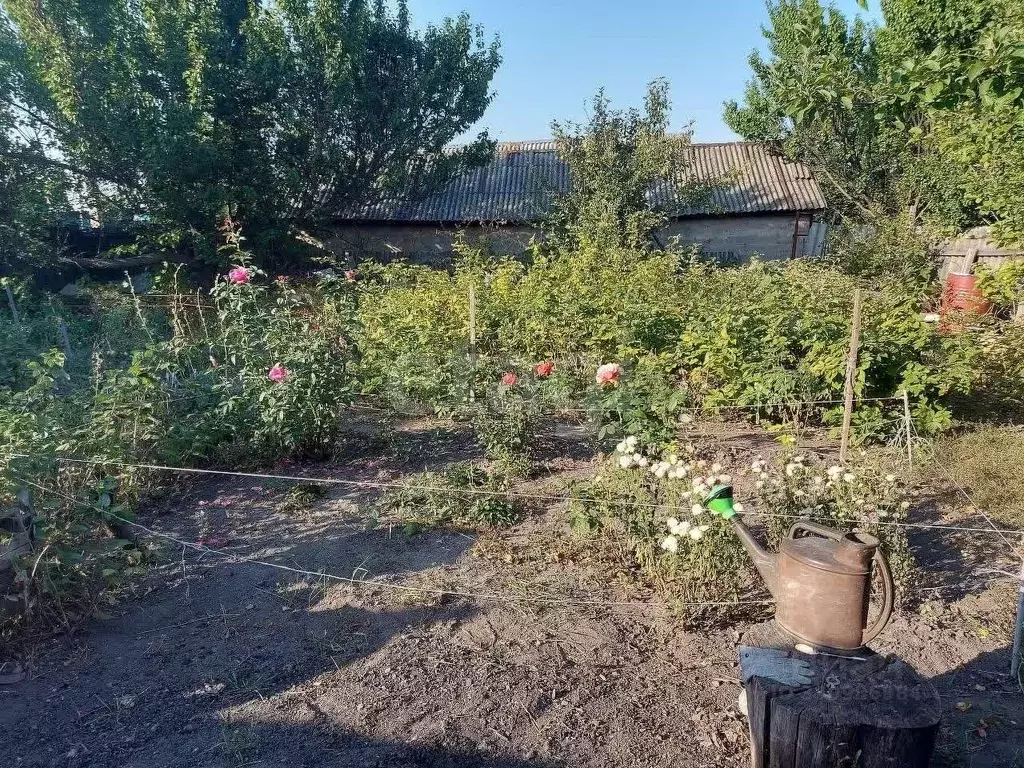 Участок в Белгородская область, Корочанский муниципальный округ, с. ... - Фото 1