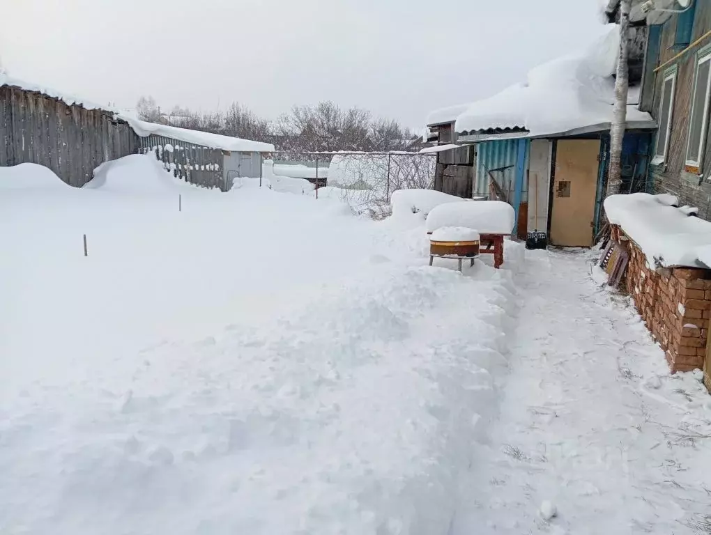 Дом в Пермский край, Очер Полевая ул., 55 (56 м) - Фото 2