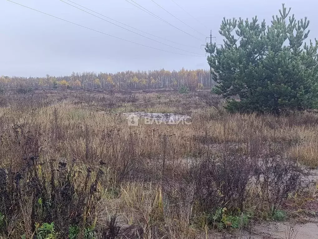 Участок в Владимирская область, Собинка Западная ул. (5.0 сот.) - Фото 2