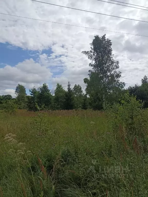 Участок в Московская область, Наро-Фоминский городской округ, д. ... - Фото 1
