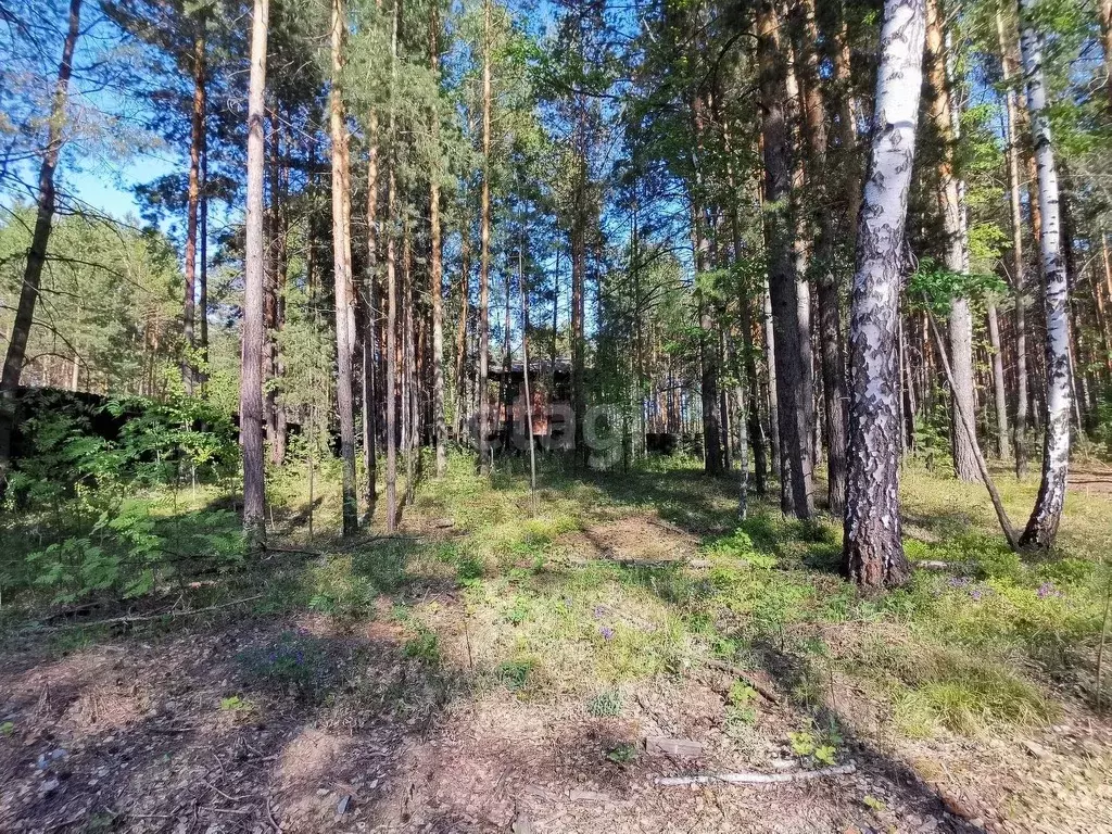 Участок в Новосибирская область, Новосибирский район, Кудряшовский дп ... - Фото 1