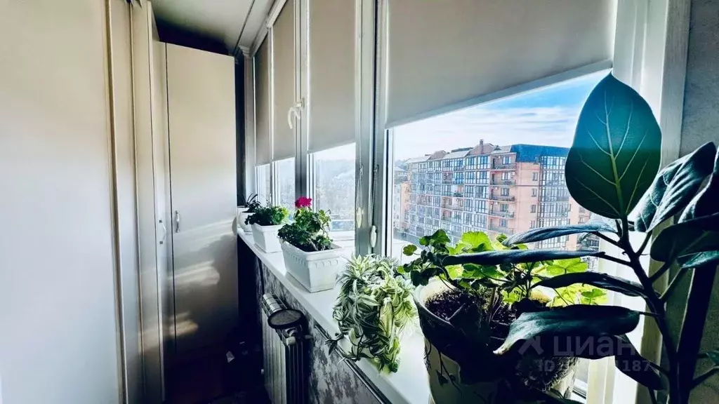 2-к кв. Ставропольский край, Пятигорск ул. Бунимовича, 19А (91.1 м) - Фото 2