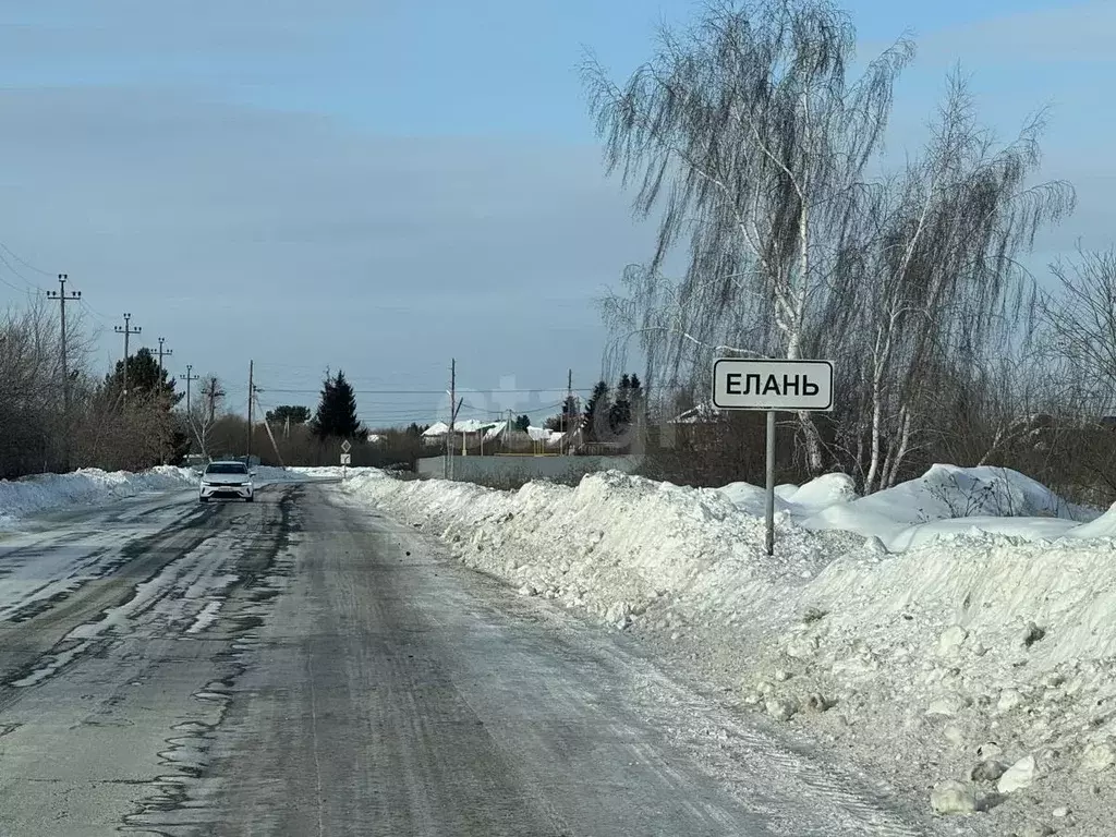 Участок в Тюменская область, Тюменский муниципальный округ, д. Елань ... - Фото 1