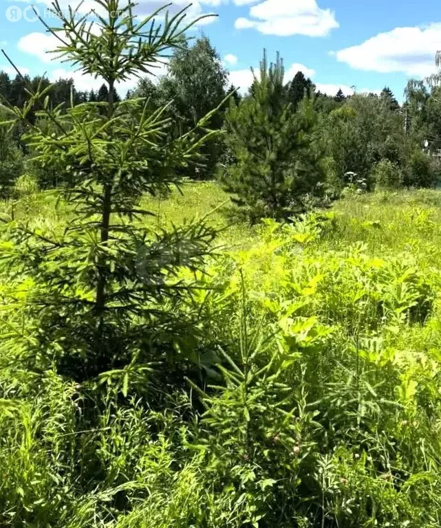 Участок в Наро-Фоминский городской округ, СТ Нара (6.47 м) - Фото 1
