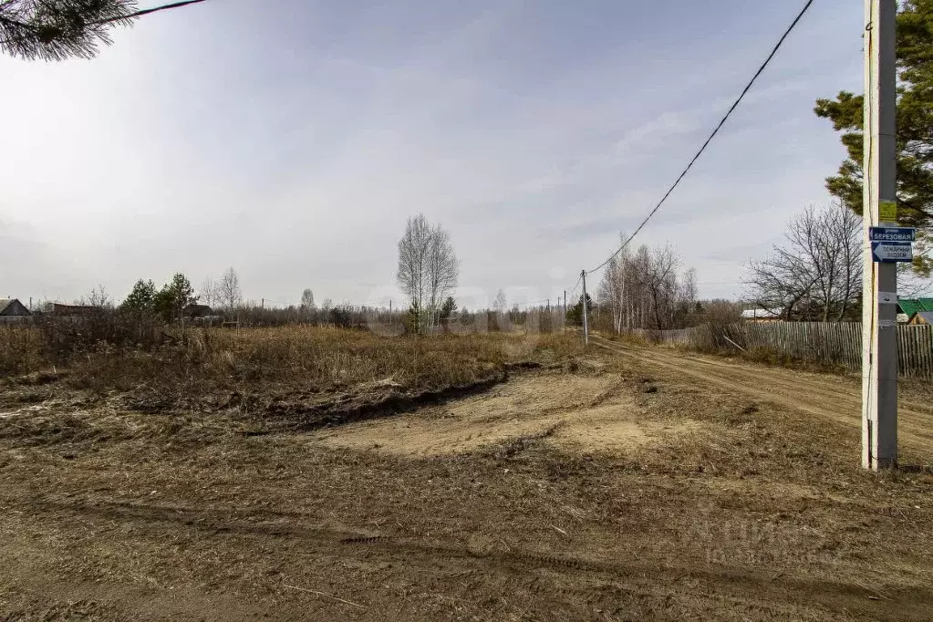 Участок в Тюменская область, Ялуторовский муниципальный округ, СО ... - Фото 1