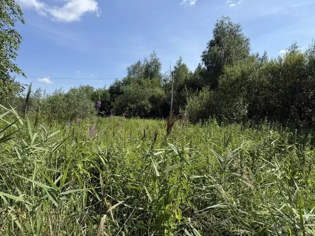 Участок в Московская область, Орехово-Зуевский городской округ, пос. ... - Фото 1