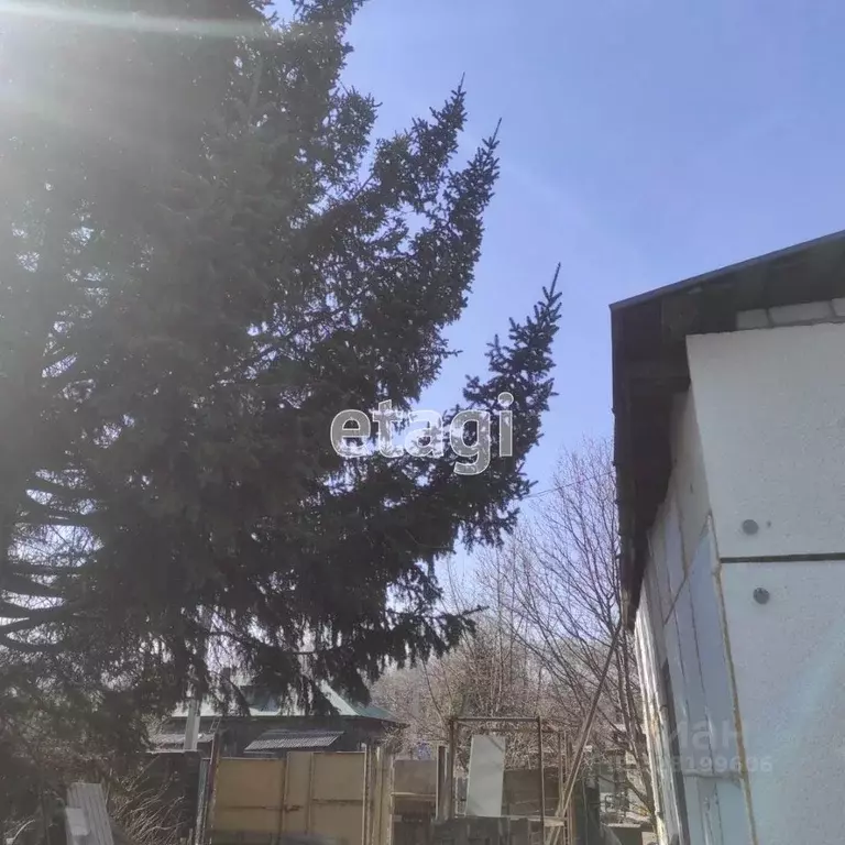 Дом в Амурская область, Благовещенск Краснофлотская ул., 9/1 (59 м) - Фото 2