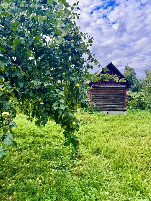 Участок в Чебоксары, улица Низами, 6Б (6 м) - Фото 2