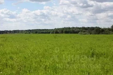 Участок в Краснодарский край, Курганинск Березка СТ, ул. Абрикосовая ... - Фото 1