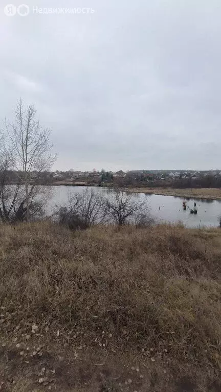 Участок в село Заборовка, Набережная улица (14 м) - Фото 1