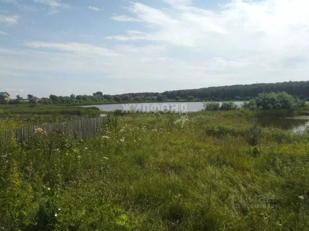 Участок в Новосибирская область, Новосибирский район, Толмачевский ... - Фото 1